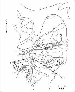 План-схема места расположения поселения Жарково-3