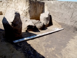 Бугры. Курган №4. Могила-1. Вид на камни, маркирующие границу могильной ямы в месте ее соединения с подземным ходом